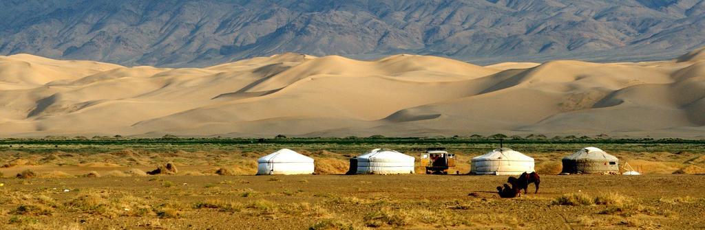 Majestic Gobi Tour Operator And Guest House Ulaanbaatar Bagian luar foto